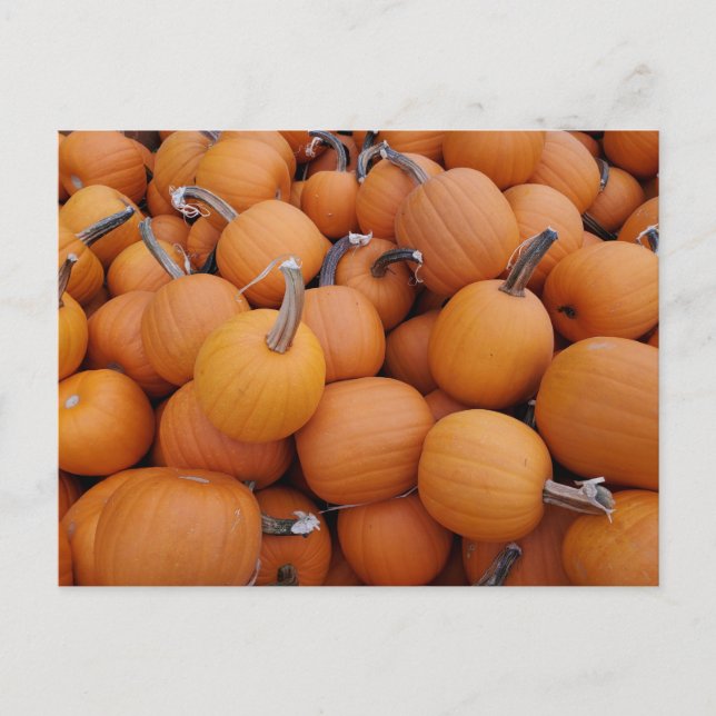 Postal Calabazas (Anverso)