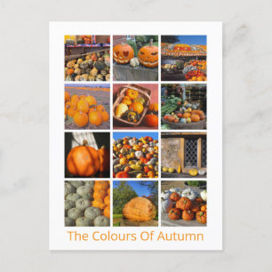 Postal Calabazas, Cuchillas Y Gargantas