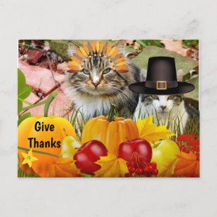 Postal Calabazas de Acción de Gracias de gato / De collag