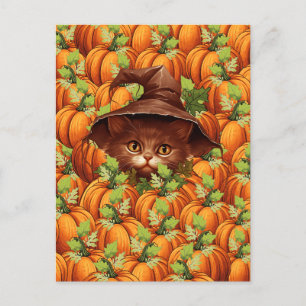 POSTAL CALABAZAS DE ACCIÓN DE GRACIAS GATO BONITO
