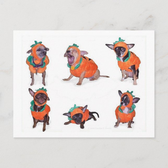 Postal Calabazas de Chihuahua (Anverso)