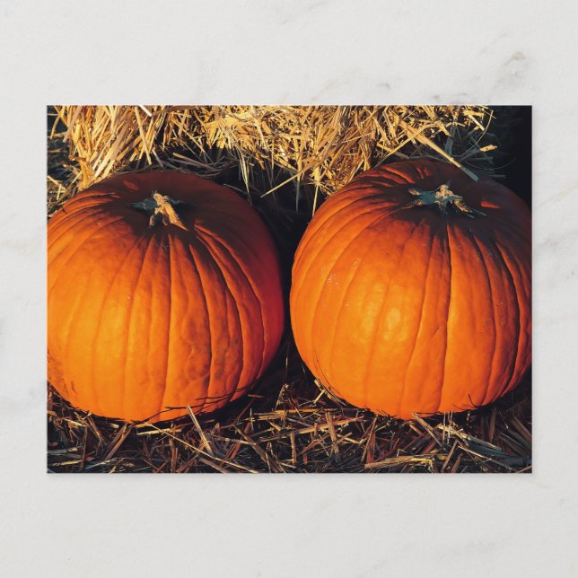 Postal Calabazas dobles vintage (Anverso)