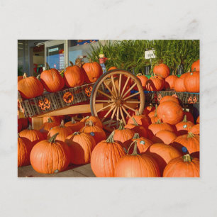 Postal Calabazas en venta