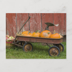 Postal Calabazas en viejo carro