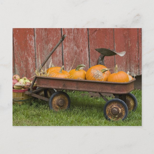 Postal Calabazas en viejo carro (Anverso)