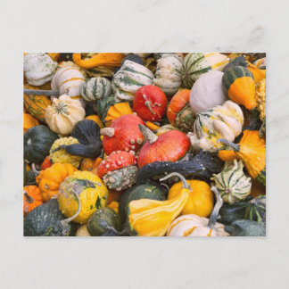 Postal Calabazas, garras y chispas otoñales