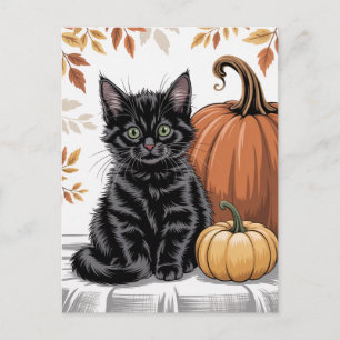 Postal Calabazas modernas y trendy de Halloween y gato ne