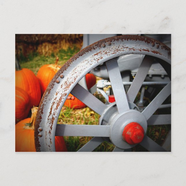 Postal Calabazas rusas (Anverso)