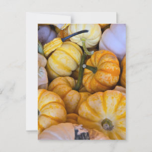 Postal Calabazas y calabazas otoñales