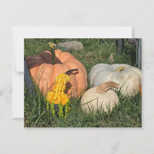 Postal Calabazas y garras