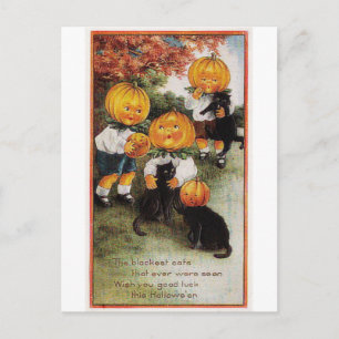 Postal Calabazas y gatos Vintage Halloween