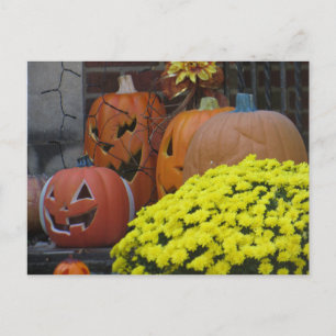 Postal Calabazas y Mums