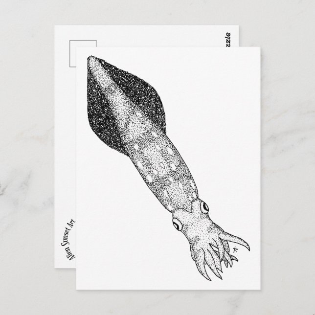 Postal Calamar (Anverso / Reverso)