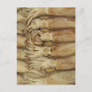 Postal Calamar - Calamares