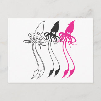 Postal Calamares gigantes
