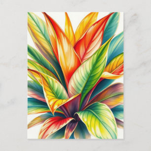 Postal Calathea Prayer Watercolor