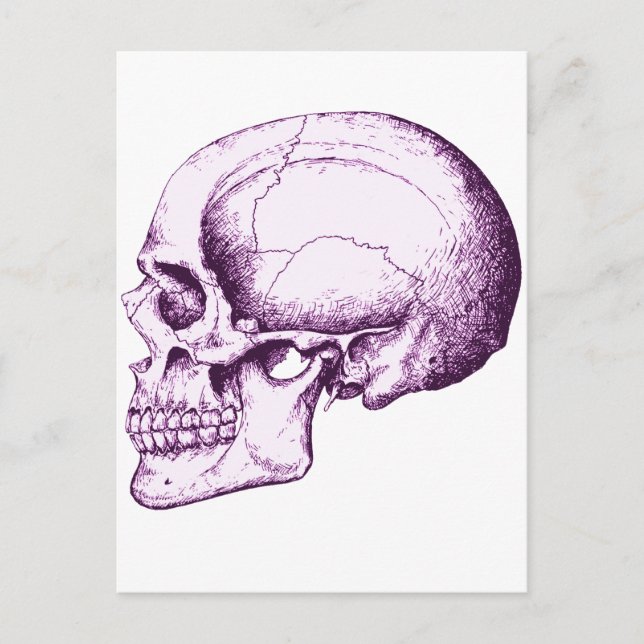 Postal Calavera (Anverso)
