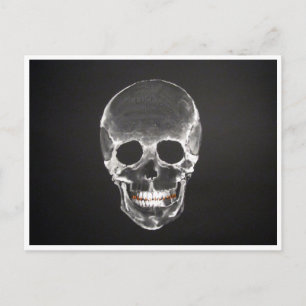 Postal calavera