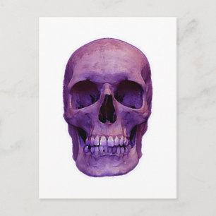 Postal Calavera
