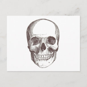 Postal Calavera anatómica, negro/blanco