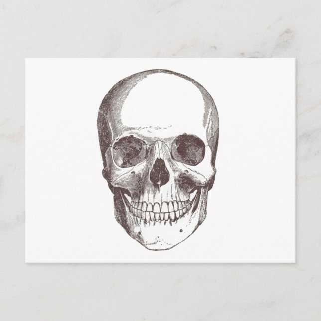 Postal Calavera anatómica, negro/blanco (Anverso)