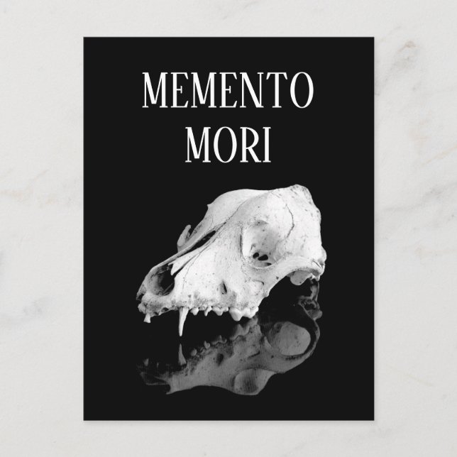Postal Calavera animal (Anverso)