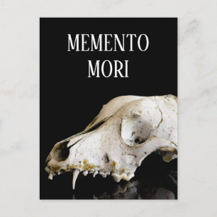 Postal Calavera animal