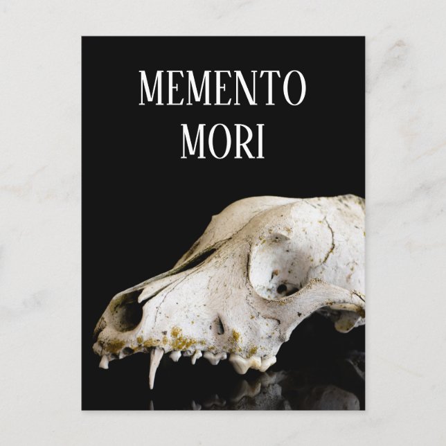 Postal Calavera animal (Anverso)