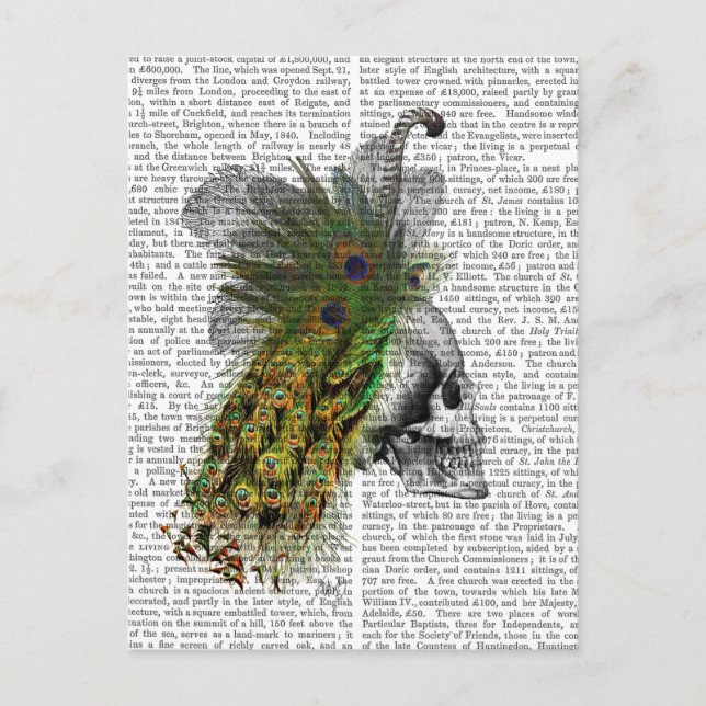 Postal Calavera con cabeza de pluma (Anverso)