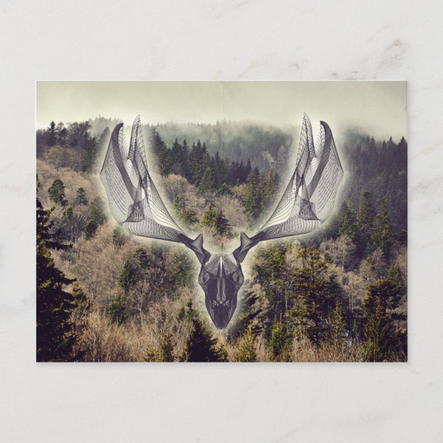 Postal Calavera de Elk (Anverso)