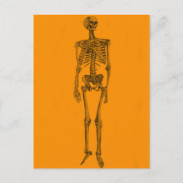 Postal Calavera de Esqueleto Naranja