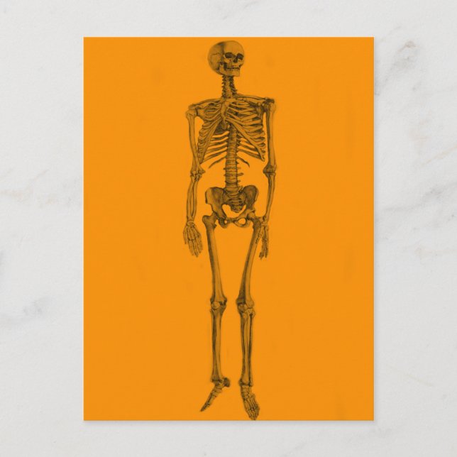 Postal Calavera de Esqueleto Naranja (Anverso)