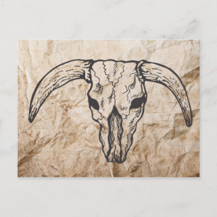 Postal Calavera de toro de Longhorn de Texas
