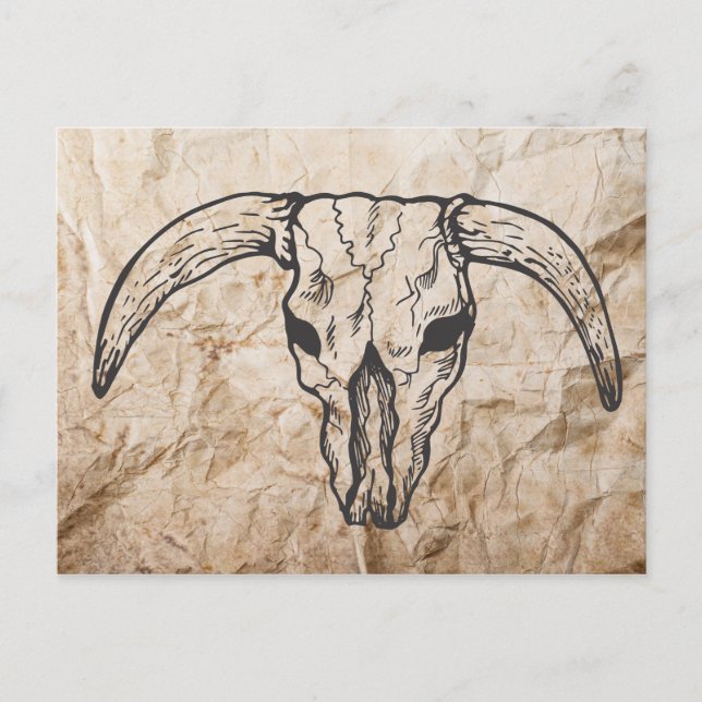 Postal Calavera de toro de Longhorn de Texas (Anverso)