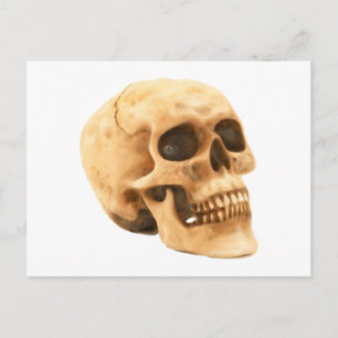 Postal Calavera de Totenkopf Schädel