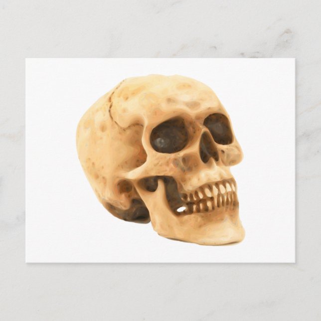 Postal Calavera de Totenkopf Schädel (Anverso)
