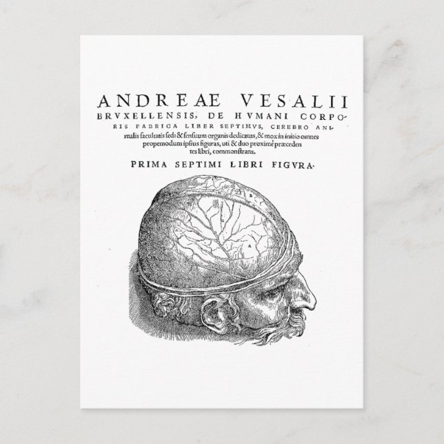 Postal Calavera humana (Anverso)