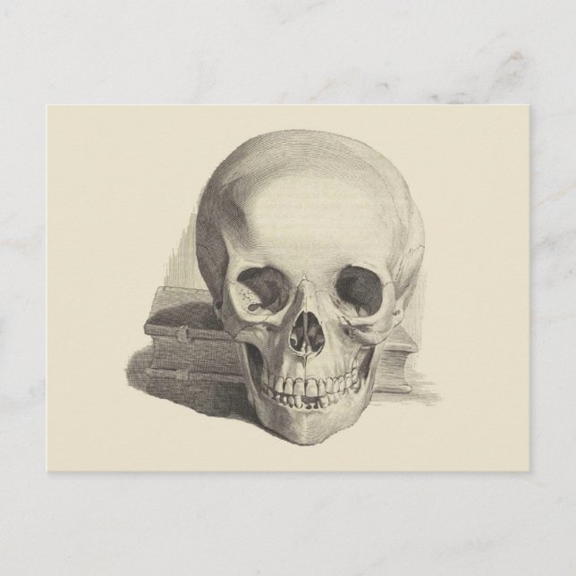 Postal Calavera y libro (Anverso)