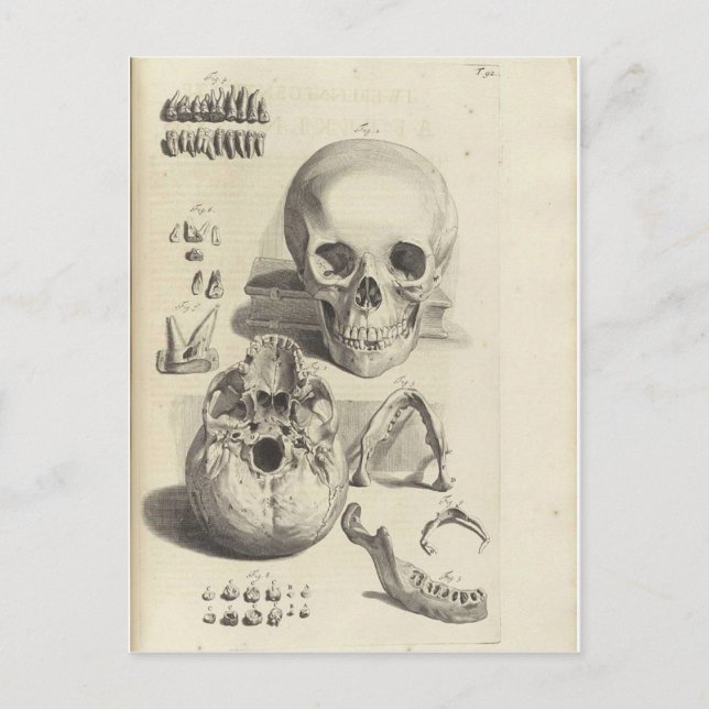 Postal Calaveras de vintage (Anverso)
