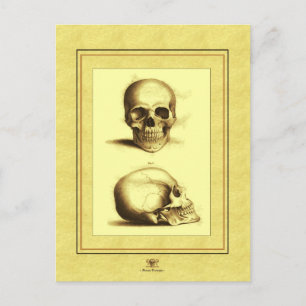 Postal Calaveras dobles antiguas