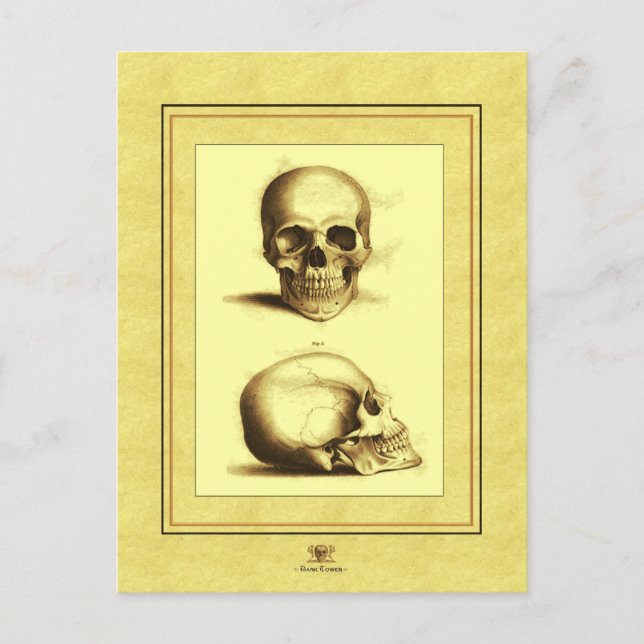Postal Calaveras dobles antiguas (Anverso)