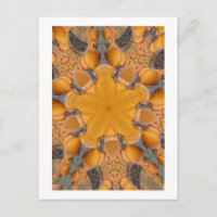 Caleidoscopio de calabaza