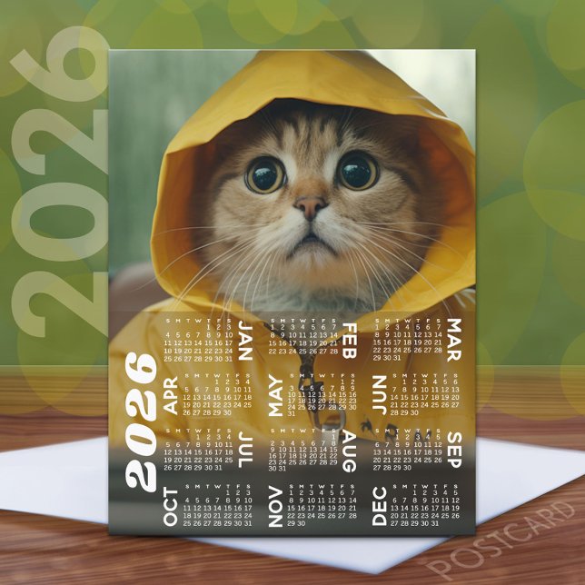 Postal Calendario con un lindo gato vestido de amarillo (2026 Calendar Postcard)