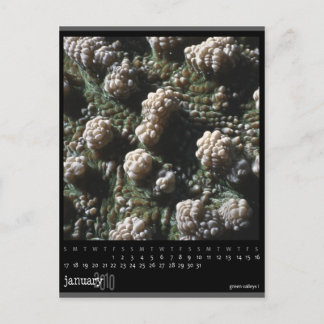 Postal calendario de enero de 2010