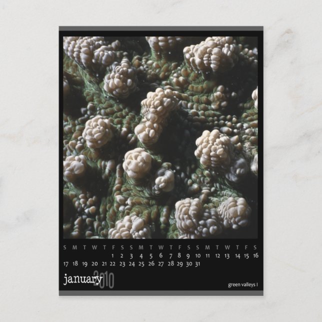 Postal calendario de enero de 2010 (Anverso)