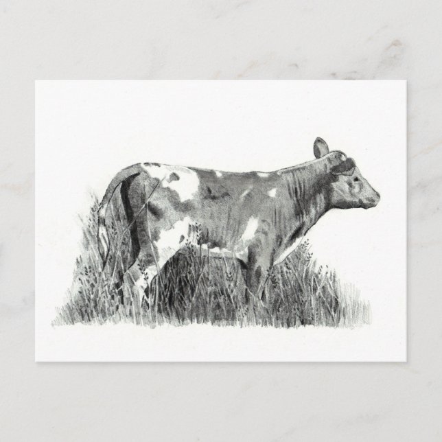 POSTAL CALF EN PENCIL (Anverso)