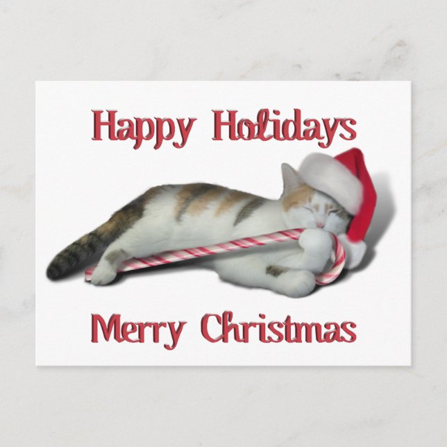 Postal Cali, el Candy Cane Kitty (Anverso)