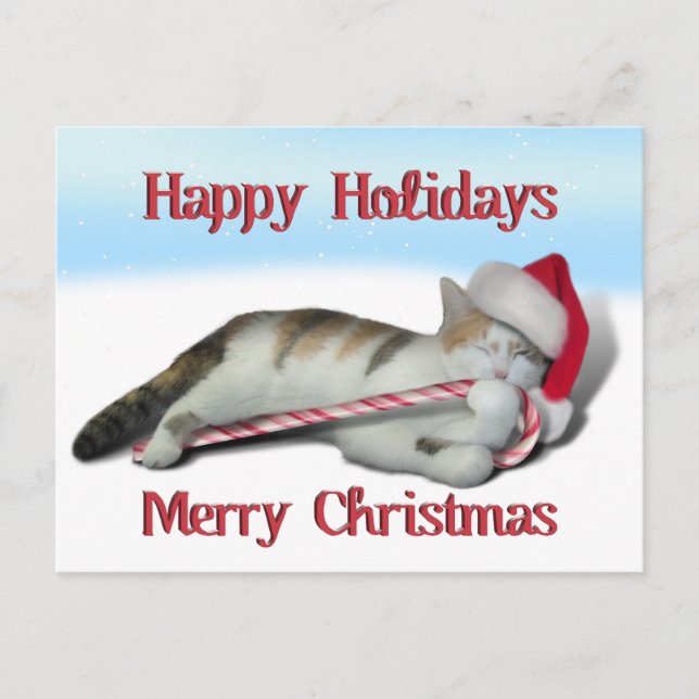 Postal Cali, el Candy Cane Kitty (Anverso)