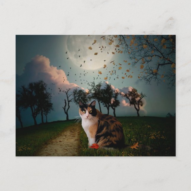 Postal Cali Moon (Anverso)