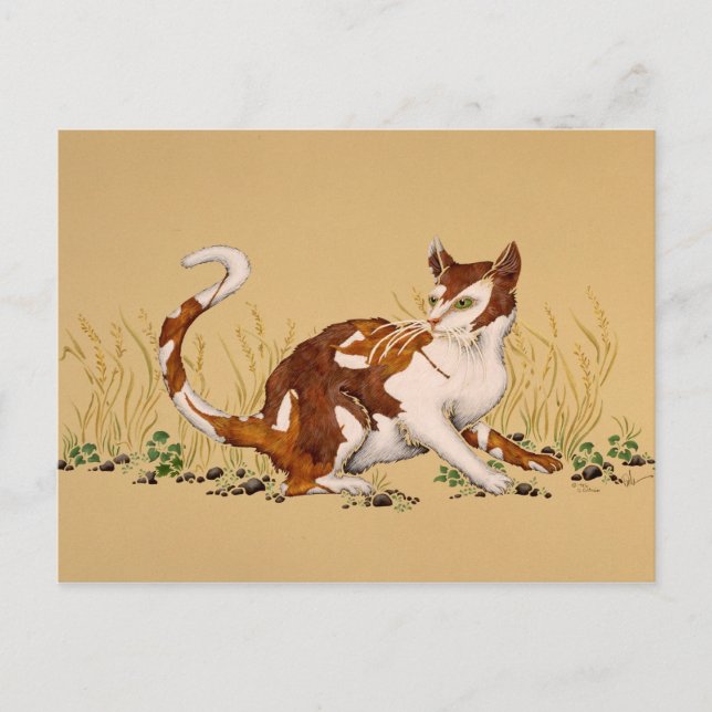 Postal Calico Autum (Anverso)